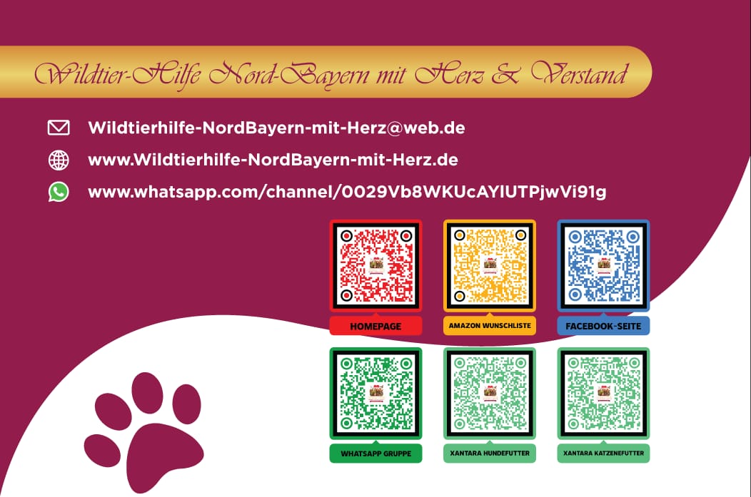 Visitenkarte Rückseite